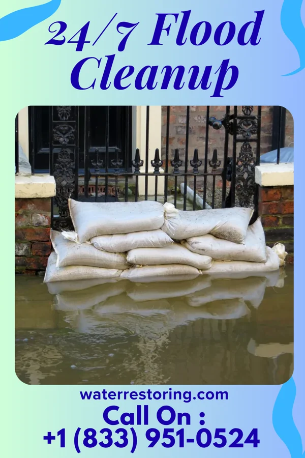 24/7 Flood Cleanup in Courtland, VA