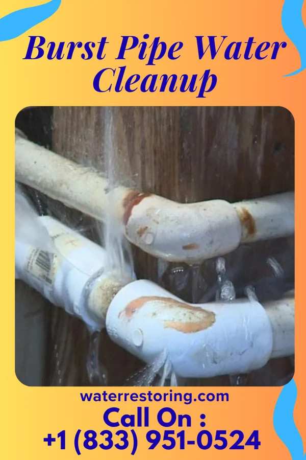 Burst Pipe Water Cleanup in Courtland, VA