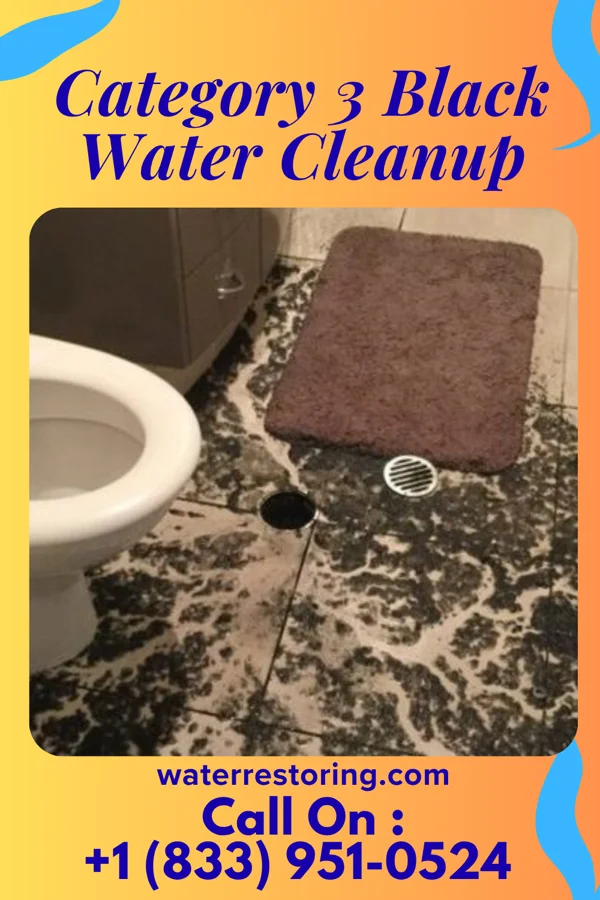 Category 3 Black Water Cleanup in Courtland, VA
