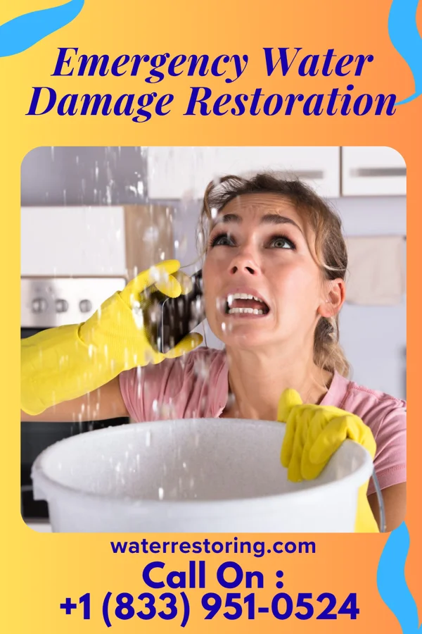 Emergency Water Damage Restoration in Courtland, VA