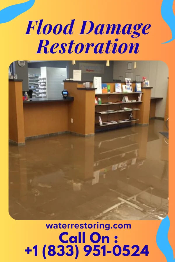 Flood Damage Restoration in Courtland, VA