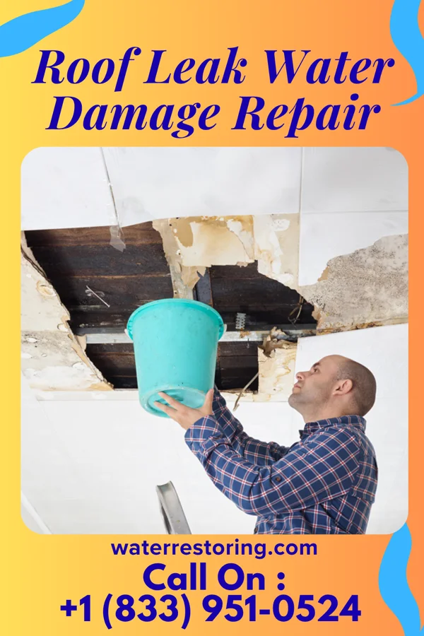 Roof Leak Water Damage Repair in Courtland, VA