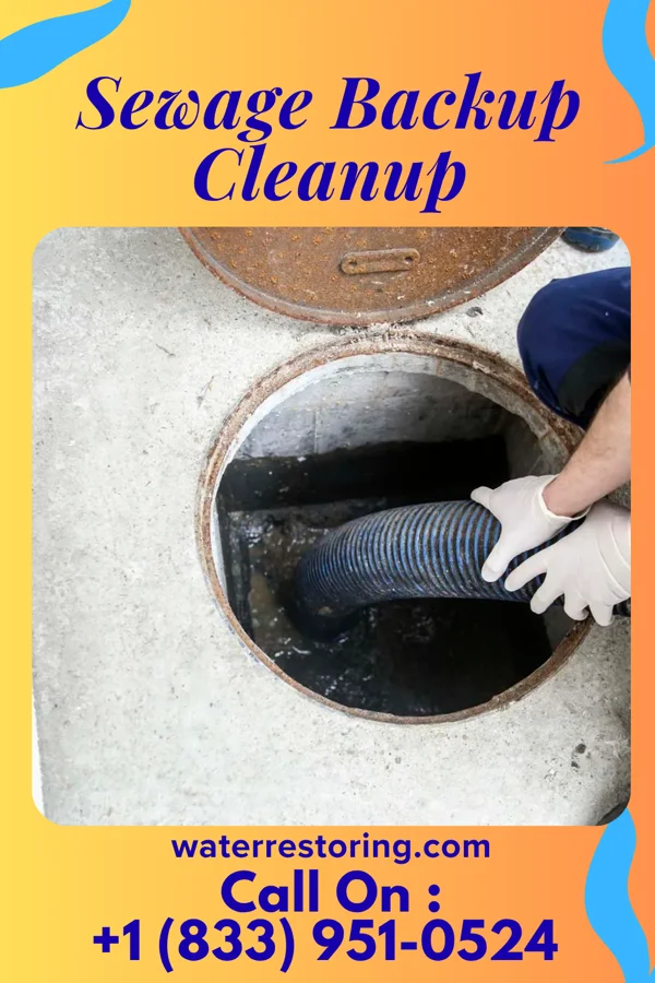 Sewage Backup Cleanup in Courtland, VA