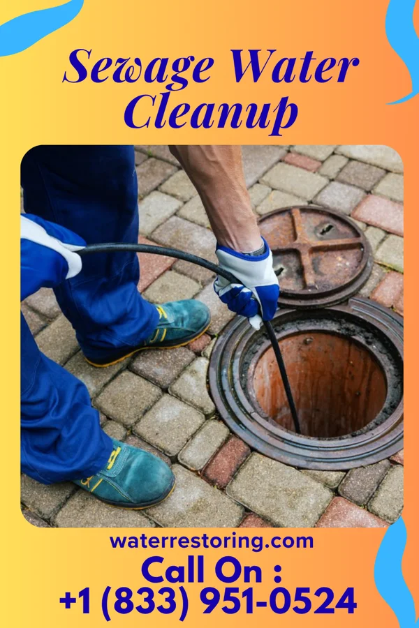 Sewage Water Cleanup in Courtland, VA