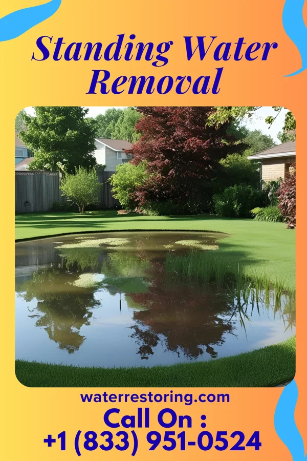 Standing Water Removal in Courtland, VA